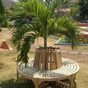 BANC de jardin tour d'arbre en teck, diamètre 180 cm